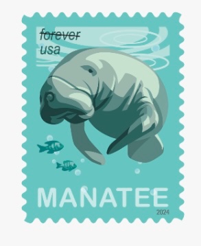 savethemanatee's tweet image. Coming in 2024! @USPS reveals #manatee stamp!
about.usps.com/newsroom/natio…