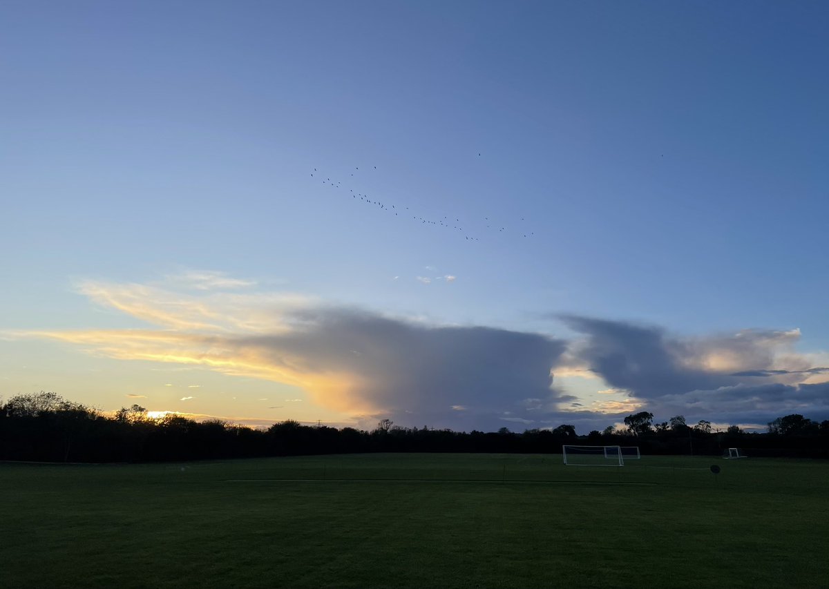 Incredible light at @stratfieldbrake @GAB_RFC this evening, hoping to see some starlings… lots of dog walkers… first flock gone overhead … #autumn #thegreatoutdoors #naturephotography #wellbeingwalk #theoneinpurple💜