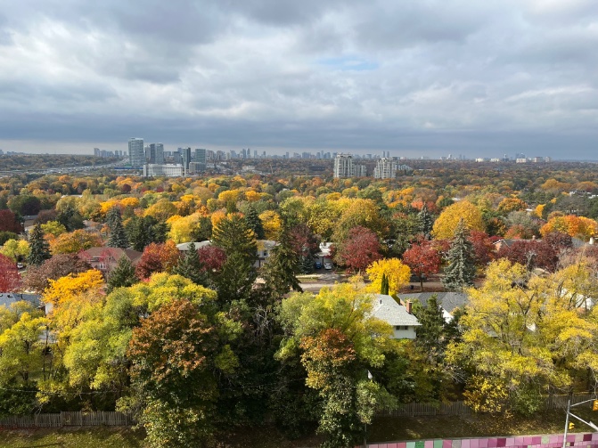 Sam_anthaR's tweet photo. @CityNewsTO https://t.co/DT8sOMUy44