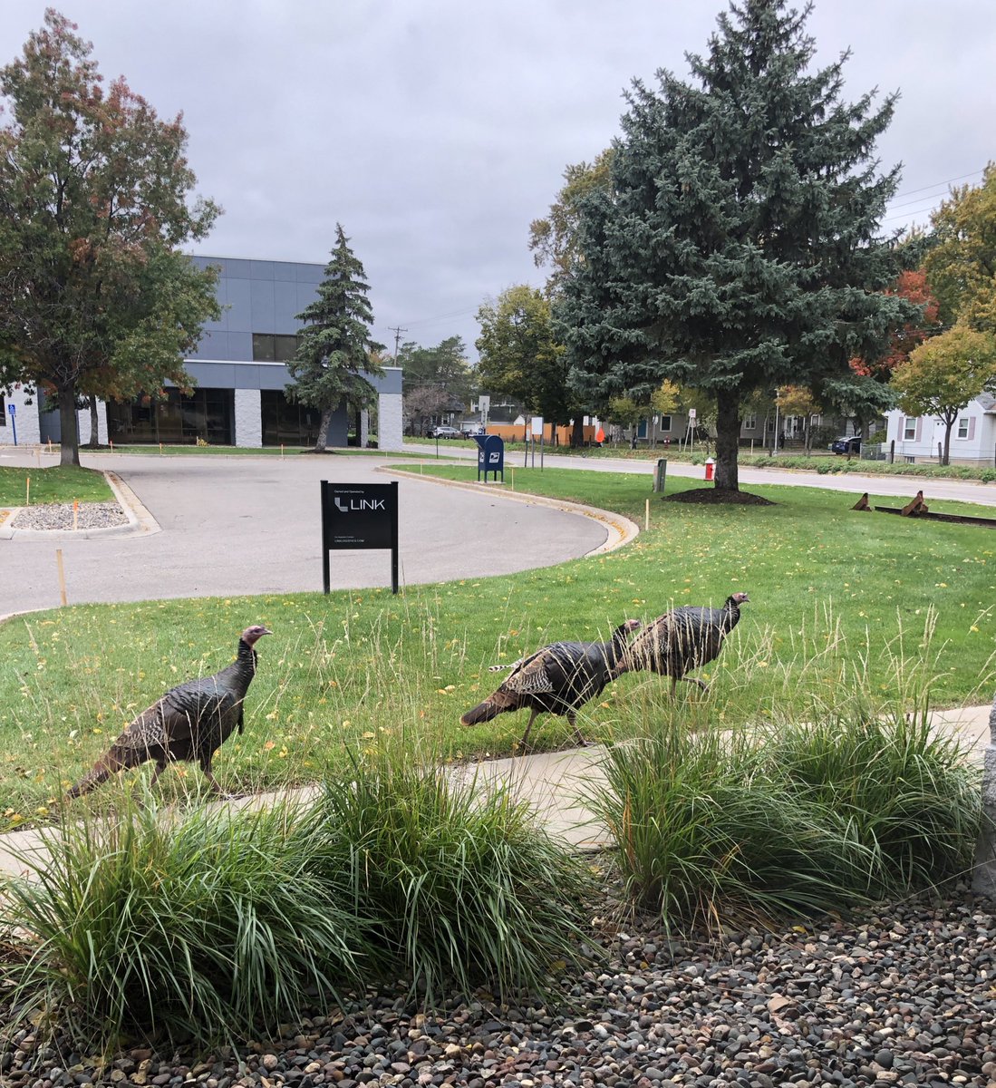 KQRadio's tweet photo. Sorry fellas, @shan_radio doesn’t get in until 7 

#TurkeyTakeover Part 3 https://t.co/MiC6m3jaF2