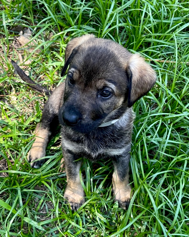 Seems like yesterday… 🐾❤️🐾

Isn’t she adorable 😊