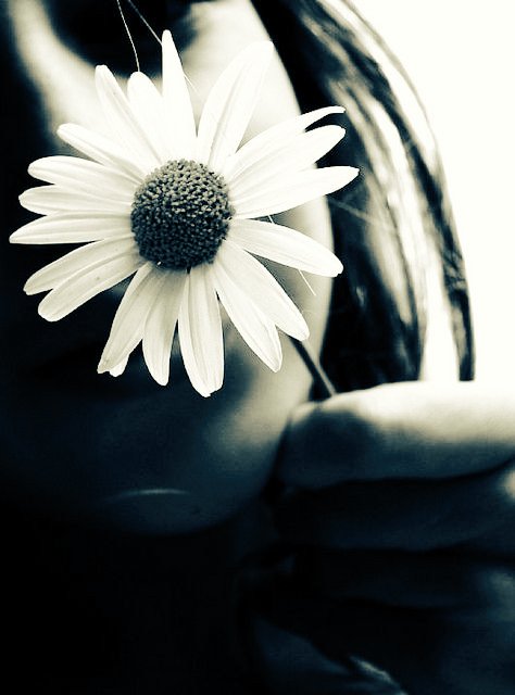 Atardecer_90's tweet image. Llegaste como llegan las margaritas en primavera 
y llenaste de colores 
mi vida entera...