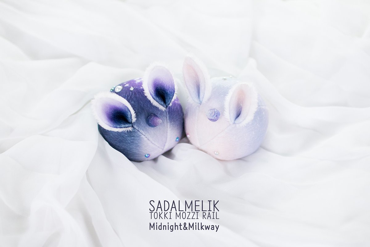 토끼모찌 레일 tweet media