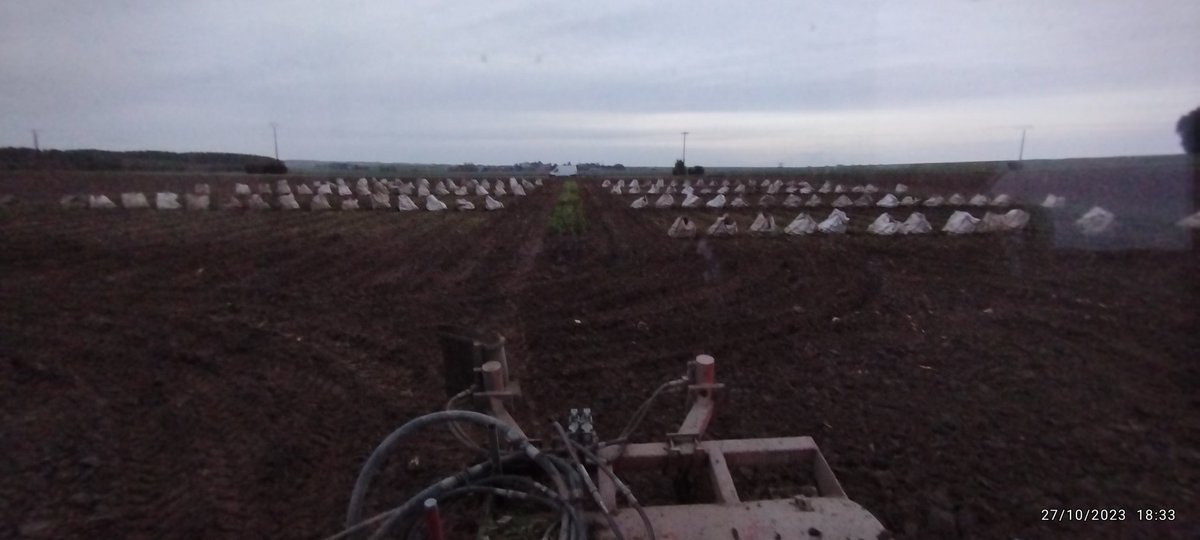 Dernière ligne droite qui sonne la fin de récolte de nos essais <a href="/ITBetterave/">ITB - Institut Technique de la Betterave</a> <a href="/_MissBetter/">Miss Better</a> <a href="/UFSemenciers/">UFS</a> et ben je peux vous le dire 22 mm de pluie dans la nuit, ça rend la terre amoureuse !