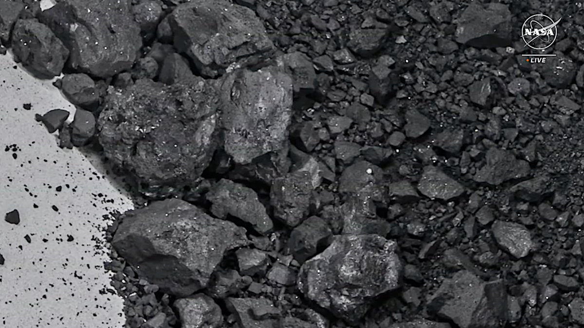 ASI_spazio's tweet image. Il campione di #Bennu consegnato da #OsirisRex è ancora in gran parte chiuso nel campionatore; eppure le poche polveri fuoriusciute ci stanno già svelando la storia del Sistema Solare, del pianeta Terra e dell’origine della vita.
Il #DeepSpace è su #AsiTV: tinyurl.com/2a73jb3d