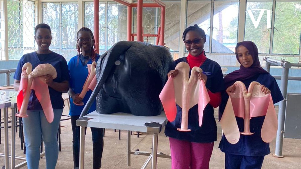 vetintl's tweet image. Exciting news!🎉 We just donated a Bovine Theriogenology Model to the University of Nairobi - Kabete Vet Campus!

Swipe right for a closer look 📲👆

✅ Sign up for more success stories: bit.ly/VIupdates

#BovineTheriogenology #VeterinaryEducation #VetStudents #FutureVets