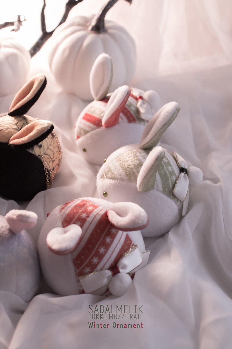 토끼모찌 레일 tweet media