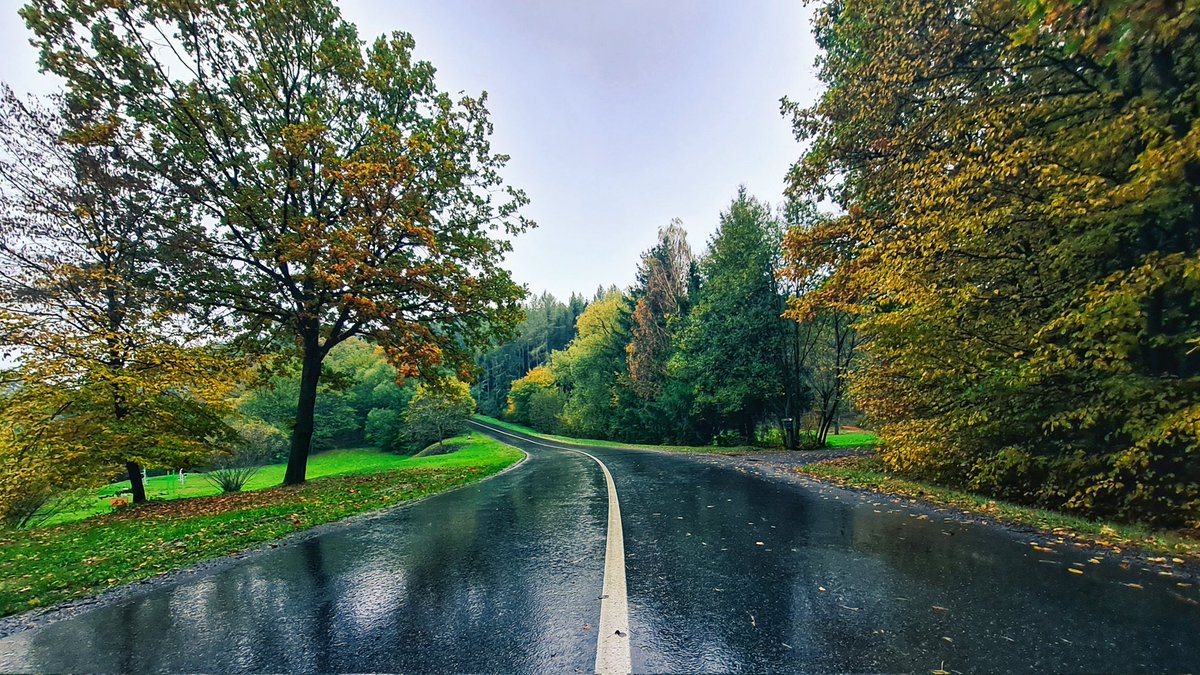 #Ostrata #Zlín #Czechia #Zlínskýkraj #plant #sky #green #naturallandscape #infrastructure #roadsurface #naturalenvironment #branch #tree #thoroughfare #shade #cloud #grass #tar #woodyplant #landscape #road #rain #wet #forest #wood #lane  #peopleinnature #symmetry #trunk