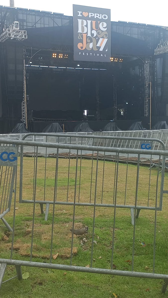 O Prio Blues &amp; Jazz Festival, na Marina, vai ter um público diferente: um Quero-quero que instalou seu ninho no gramado onde fica a plateia para os shows. A turma da PECK Produções demonstrou consciência ambiental e montou um cercadinho para proteger a família de pássaros. Palmas