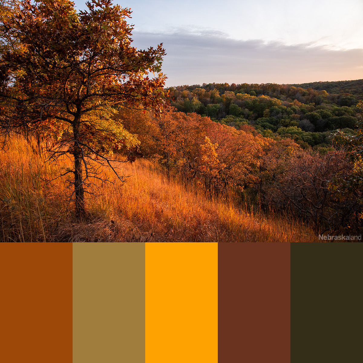 NeblandMagazine's tweet photo. Fall colors of Nebraska🍂
📷: Eric Fowler | Indian Cave State Park
#Nebraskaland https://t.co/CzF6qveo2U