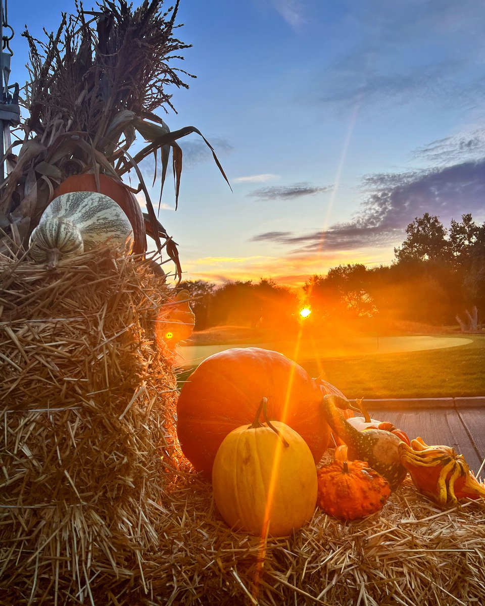 Day 1 - Good luck to all the Harvest Cup participants!