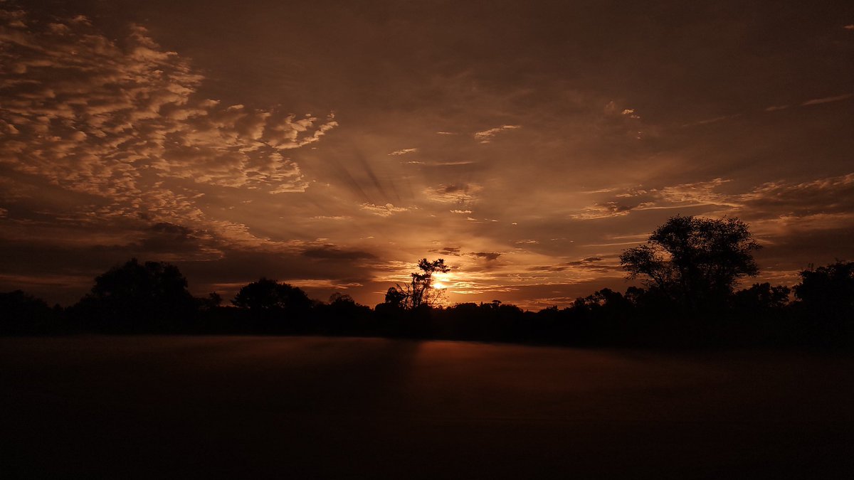 Beautiful McLean Virginia tweet media