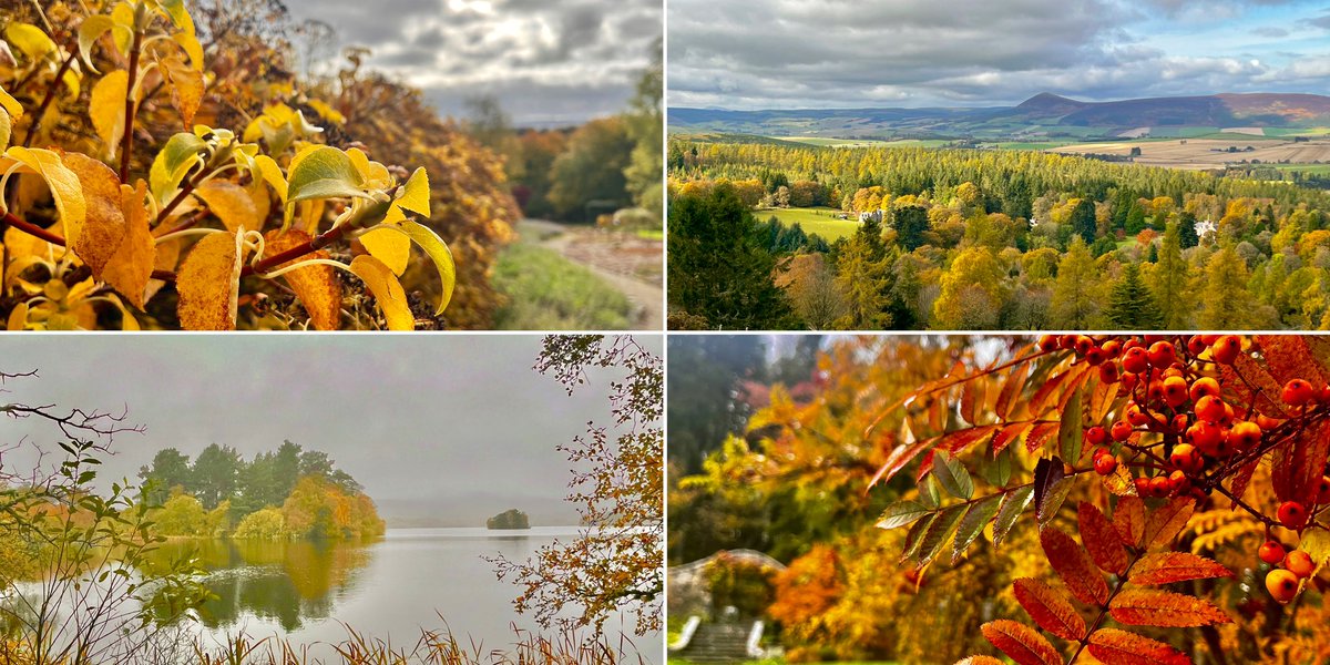 TheMackWalks's tweet photo. This week, Marr area, Aberdeenshire ๐ #leithhallgardens #kennethmont #taponoth #knockespoch #muirofdinnetnnr #lochkinord #dinnet #marr #autumncolours #aberdeenshire https://t.co/H4o1rTiiQW