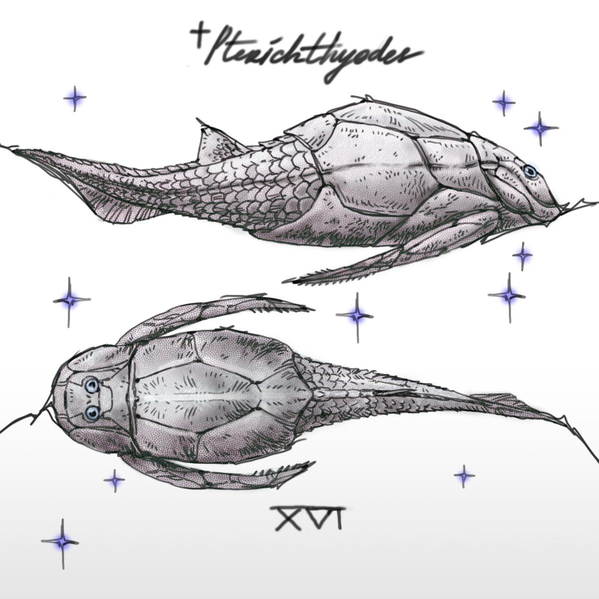 NaissRyo's tweet photo. ┐( ˘_˘)┌
#fishskeleton #fishskull #inktober #sketch #linework #drawing #line #artwork #illustration #cgart #digitalpainting #art #lineart #characterconcept #conceptart #creature #animalart https://t.co/N8dnypEWjX