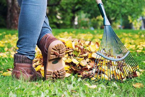 TS_Landscaping's tweet photo. Leaves piling up? No problem! 🍁 Let TS Landscaping handle your fall clean-up. Quick, efficient, and hassle-free service! #LeafCleanUp #TSLandscaping 🍂✨ https://t.co/K6zfJsb17t