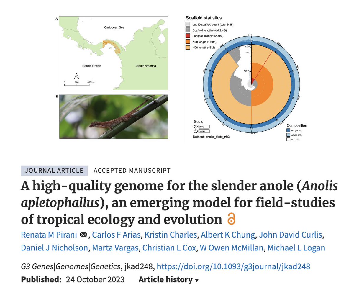Renata Pirani (@piranirenata) on Twitter photo The paper "A high-quality genome for the slender anole (Anolis apletophallus)" is published đđ!! Open access on the link below! Once again thank you everyone <a href="/solracariasm/">Carlos Arias</a> @coxevolab <a href="/EvoLoganLab/">Mike Logan</a> <a href="/UNRScience/">College of Science at the Uni. of Nevada, Reno</a> <a href="/stri_panama/">Smithsonian Panama</a> The paper "A high-quality genome for the slender anole (Anolis apletophallus)" is published đđ!! Open access on the link below! Once again thank you everyone <a href="/solracariasm/">Carlos Arias</a> @coxevolab <a href="/EvoLoganLab/">Mike Logan</a> <a href="/UNRScience/">College of Science at the Uni. of Nevada, Reno</a> <a href="/stri_panama/">Smithsonian Panama</a>