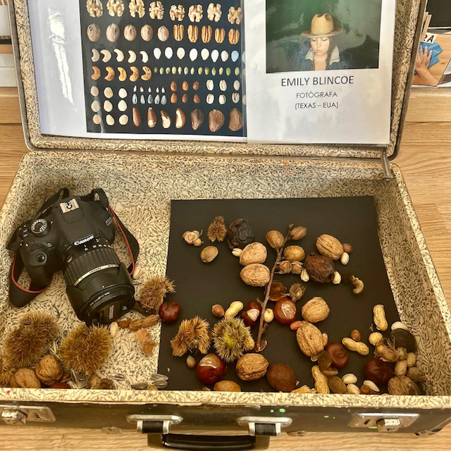 afalaimmaculada's tweet photo. Emily Blincoe a La Maleta: La fotògrafa convida les nenes i nens d’I3 a fer una composició ordenada de fruits secs i conèixer el llenguatge fotogràfic. Una nova manera de fer art. Després, comparteixen les fotografies amb els seus… https://t.co/bhV6BwTABN post @LaImmaculadaVD https://t.co/crAtaTh1ie