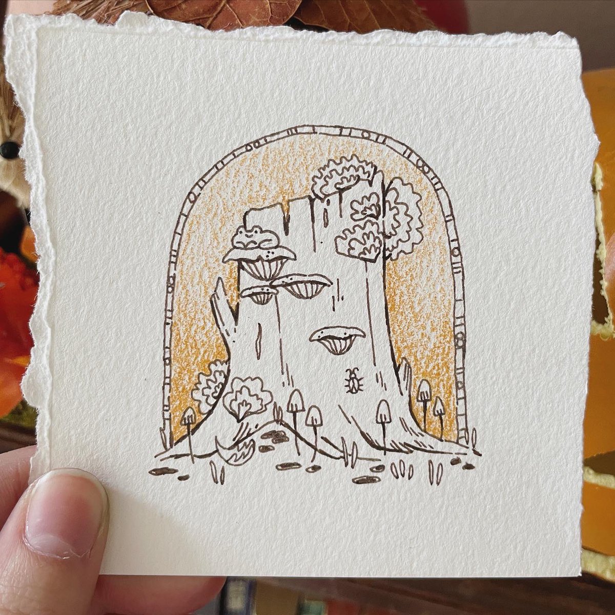 littletoadart's tweet photo. Winter is suddenly here so I’ve been busy getting ready for the cold. But here are some of my favorite #froggyfall drawings from last year! https://t.co/G4rcv82FUm