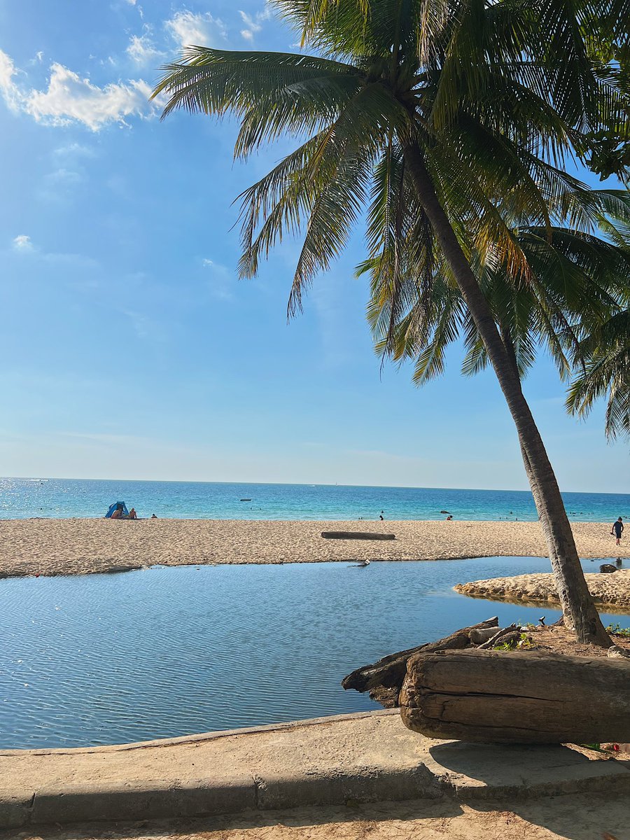 highatus_'s tweet photo. @TopLeafList We quite literally live this lifestyle 
#TakeABreak https://t.co/FM7QMfId5h