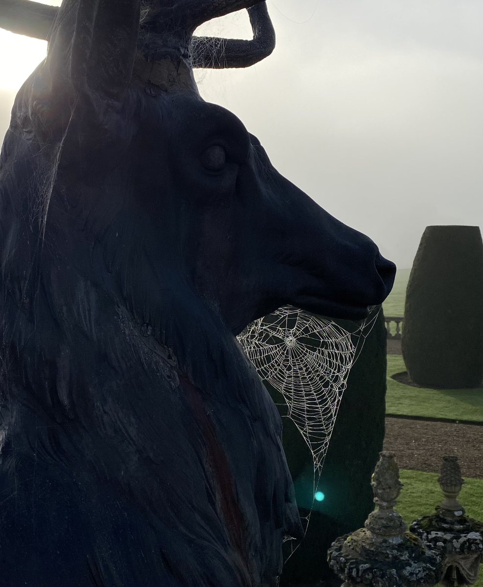 serendipity1952's tweet photo. Bowood House, emerging from autumn mist.@BowoodHouse https://t.co/PkUmDd0dRd