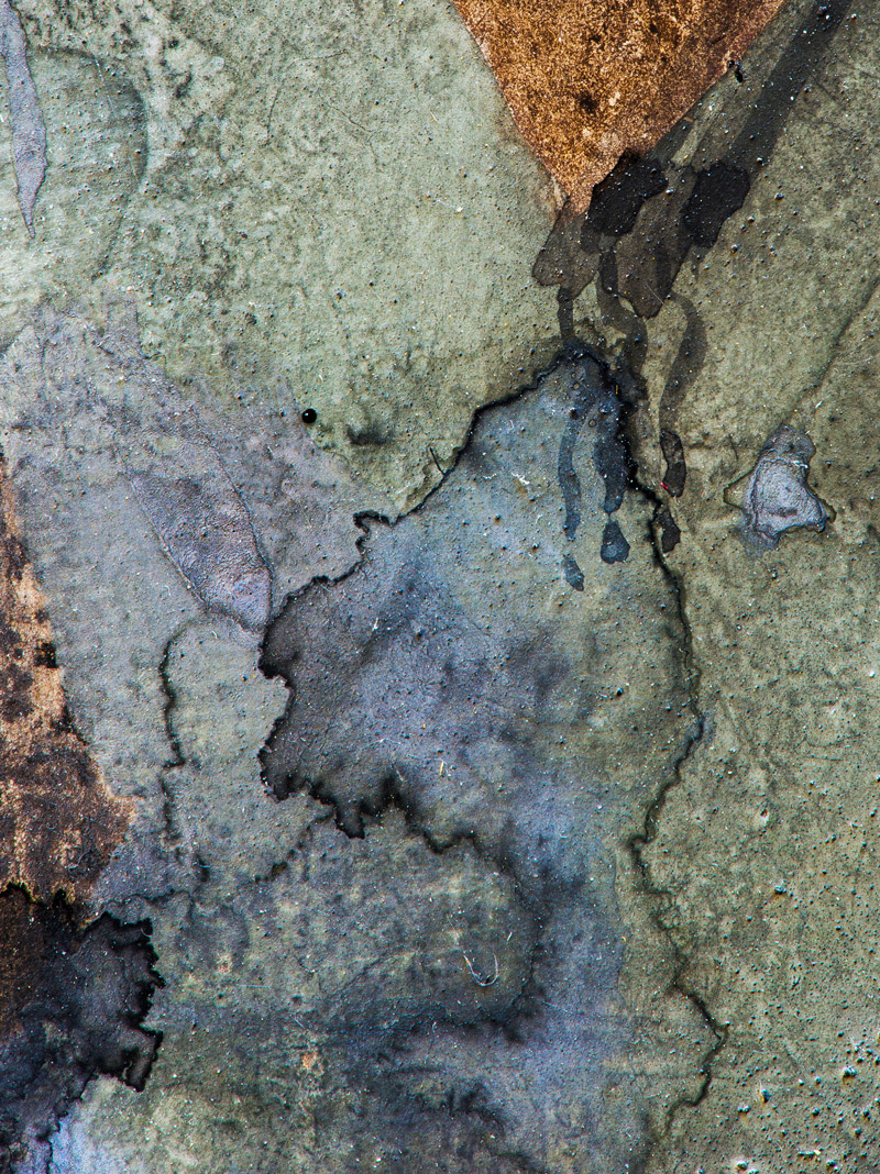 LookStudioAspen's tweet image. A DROP IN TIME
Archival Print​​​​​​​​​​​​​​​​, ©Look Studio
LookStudio.net​​​​​​​​
.
.
.
.
. 
#abstractphotographer #artprint #abstractphotography #artshow #abstracts #artsource #artsourceonline #artwork