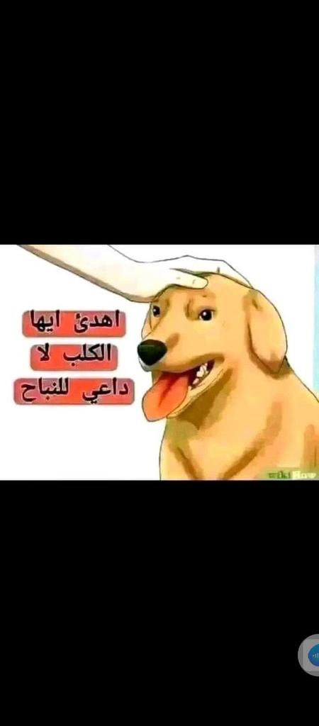 AMMARAZGER2's tweet photo. @Eemad199 كلب الست 🤣🤣🤣 https://t.co/zF8k2TchfJ