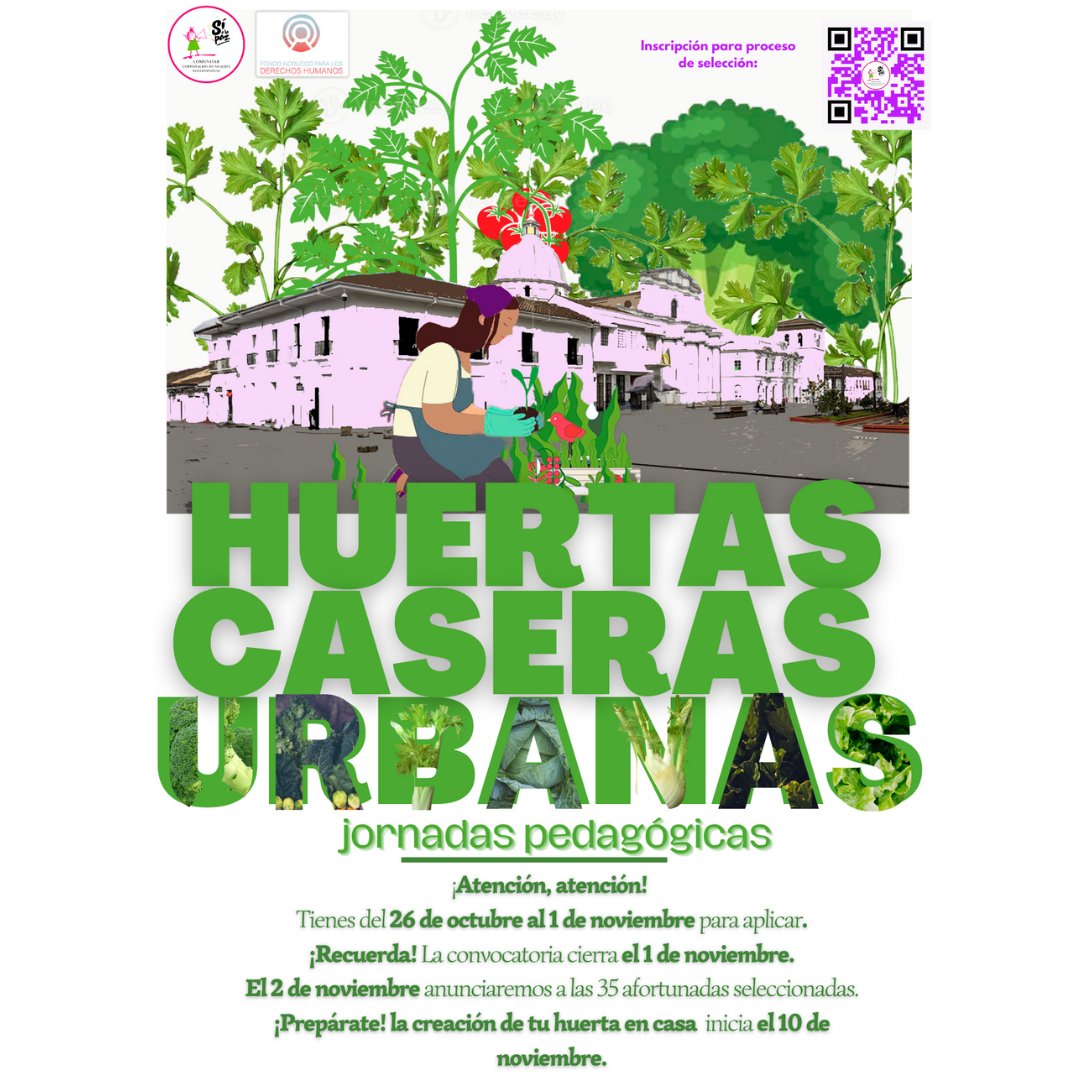 Comunitar tweet media