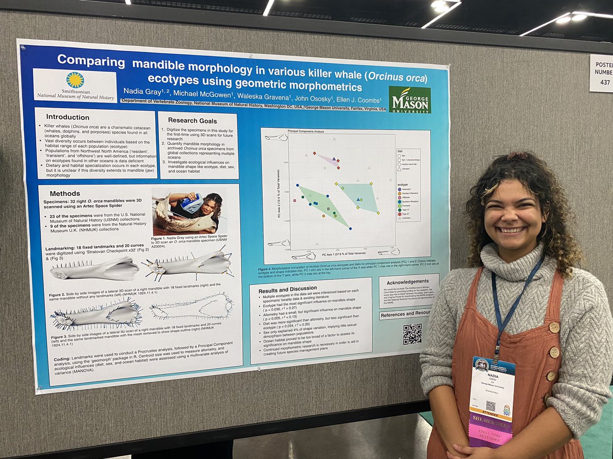 bhjuarez's tweet photo. #EcoEvoPresents N. Gray's study "Comparing mandible morphology in various killer whale (Orcinus orca) ecotypes using geometric morphometrics" #EvolSACNAS #2023NDiSTEM @SACNAS https://t.co/WSauVSIBWO