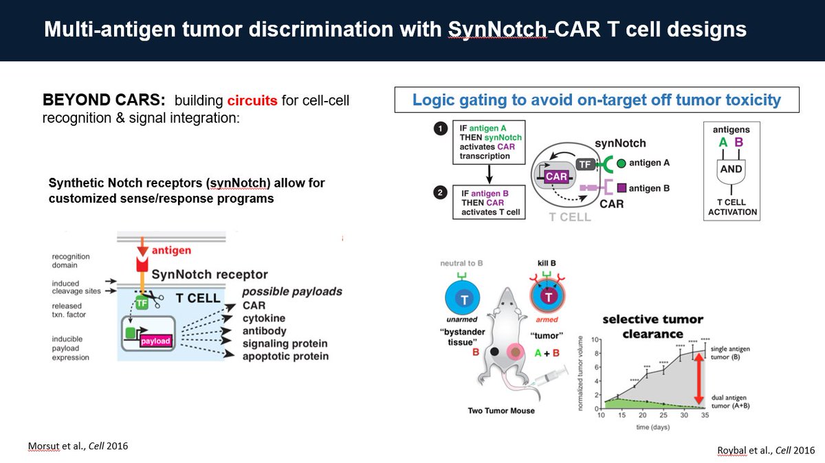 IOTN Moonshot (@iotnmoonshot) on Twitter photo Dr. Ricardo Almeida <a href="/doraric/">Ricardo Almeida</a> of <a href="/CDI_UCSF/">Cell Design Institute @UCSF</a> shares their translational development (cleared by FDA for phase I clinical trial) of synNotch-CAR T cells for treatment of Glioblastoma - a fatal brain tumor, and potentially for other types of tumors. #Immunotherapy #IOTNSCMeeting Dr. Ricardo Almeida <a href="/doraric/">Ricardo Almeida</a> of <a href="/CDI_UCSF/">Cell Design Institute @UCSF</a> shares their translational development (cleared by FDA for phase I clinical trial) of synNotch-CAR T cells for treatment of Glioblastoma - a fatal brain tumor, and potentially for other types of tumors. #Immunotherapy #IOTNSCMeeting