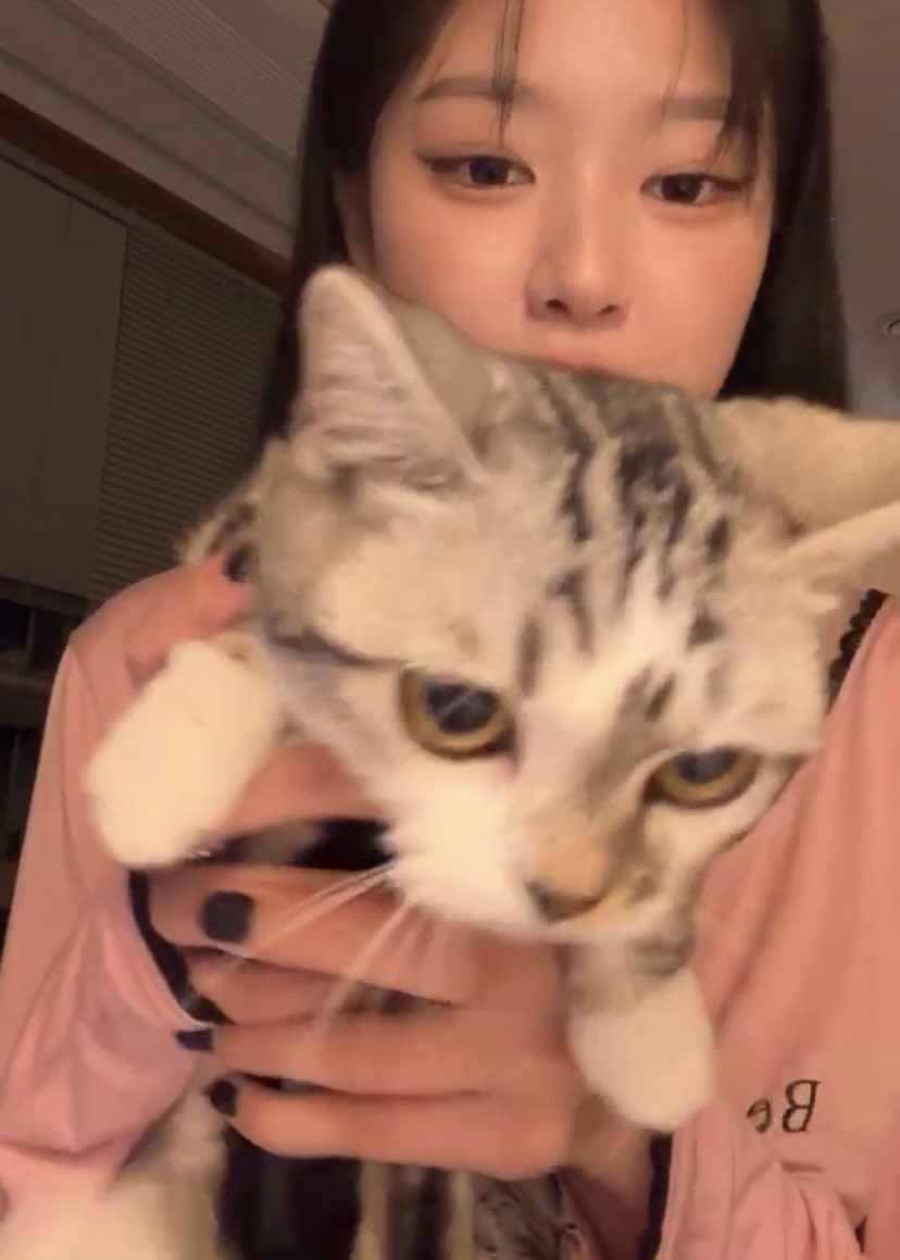 vvinnyvv_'s tweet photo. hyunjin: "everyone please cheer for paldo too, he’ll be neutered tomorrow"

😭 good luck paldo ! https://t.co/xwzfK4TqlG