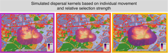 Meredith VanAcker tweet media