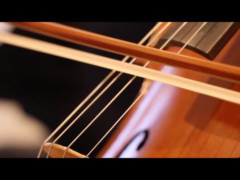 BeavertonSD's tweet image. Euphonos Ensemble is a group of talented students from across BSD. Tonight, they&apos;re holding a concert to benefit Clothes for Kids. You&apos;re invited to support these students and the cause – free concert at Lincoln Recital Hall at PSU at 7 p.m. youtu.be/nfQ39mI1GzQ