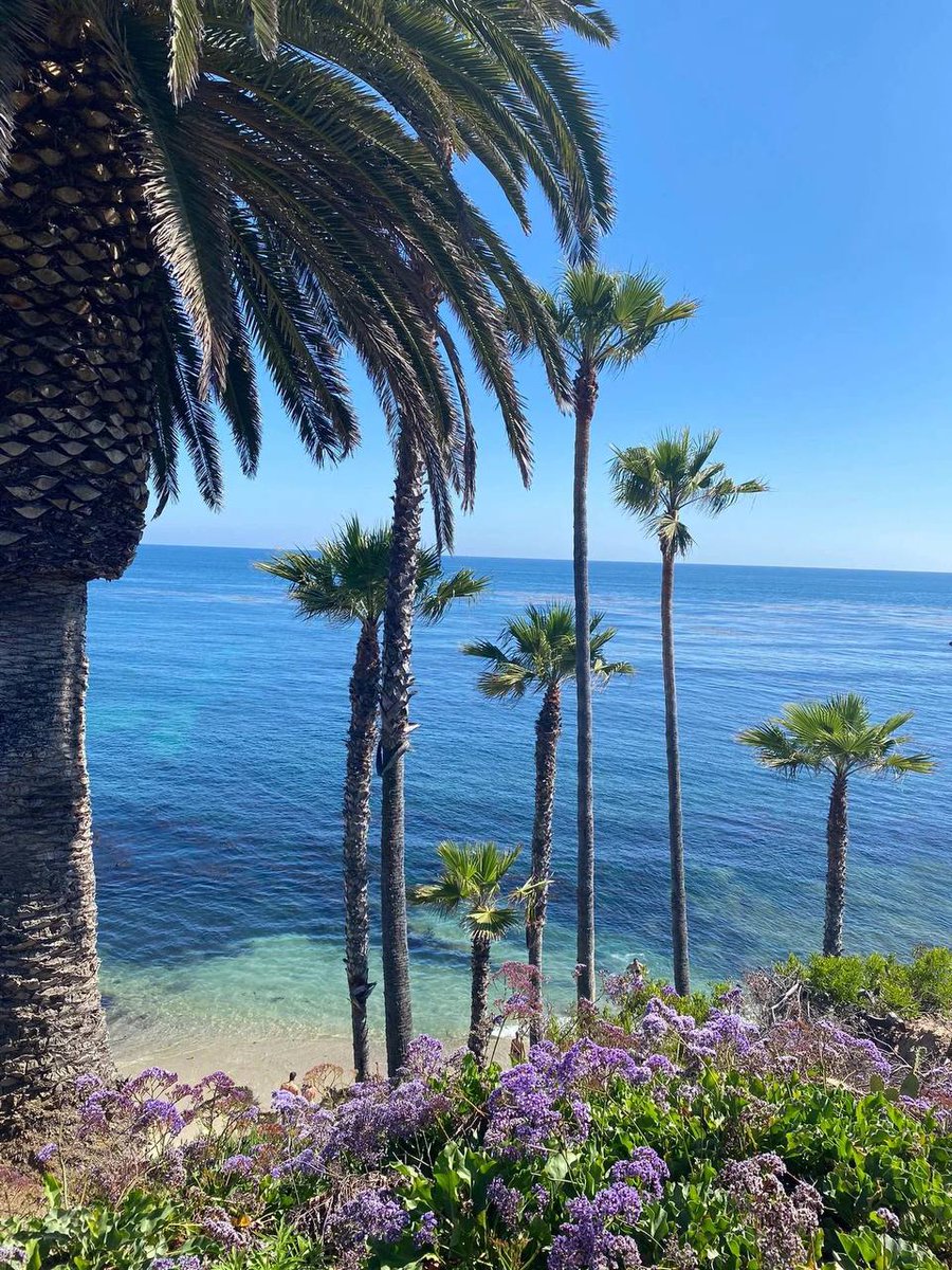Miller23314's tweet photo. Les meilleures plages de Californie Laguna beach
#sky相方募集 #skyフレンド募集 #Skyrim #Skybri #SkyCL #SkyrimSE #Skytober2023 #SkyForce #night #NightmareSans https://t.co/De0uLwk34V