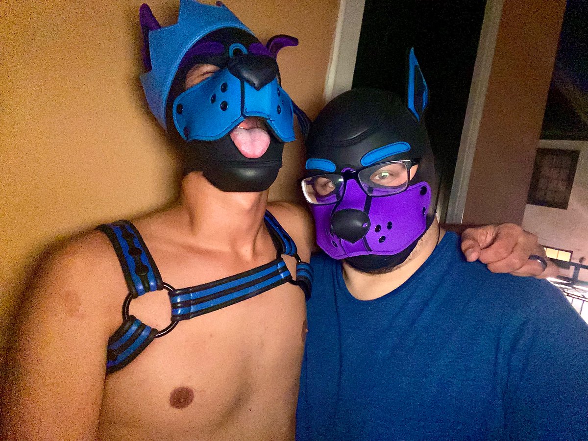 PupZ1701's tweet photo. When you invite a random pup to the bar and just expect to fuck in the restroom or somthing and instead it turns into an overnight stay and he becomes your complete Alpha 🥵😍 (we didn’t even fuck at the bar or anything 😂) https://t.co/qoIhmkBTr5