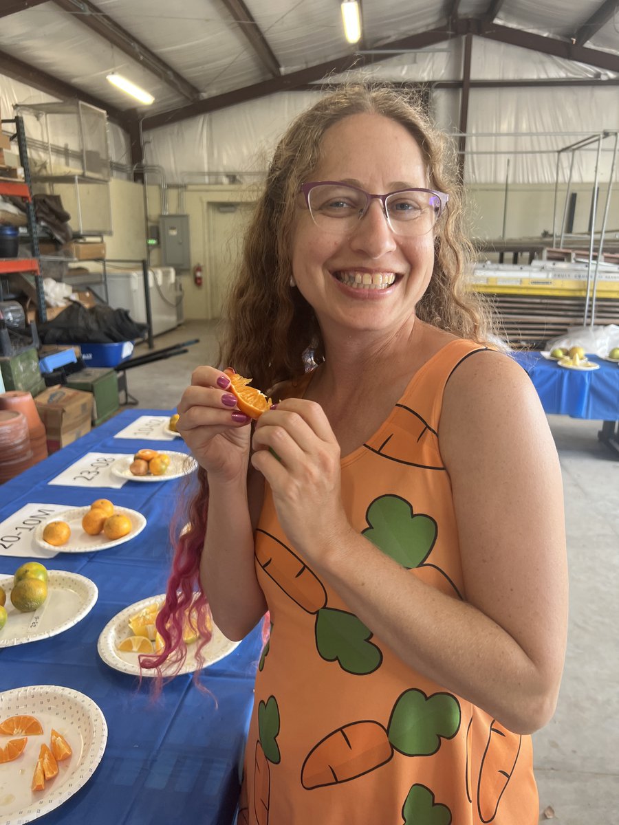 UFPostharvest's tweet photo. Enjoyed learning about #citrusbreeding from Dr. Chaparro. The highlight was tasting and rating various types of citrus fruit.
@ufhorticulture @UFcitrus @UFCALS https://t.co/WEk4VNRaFw