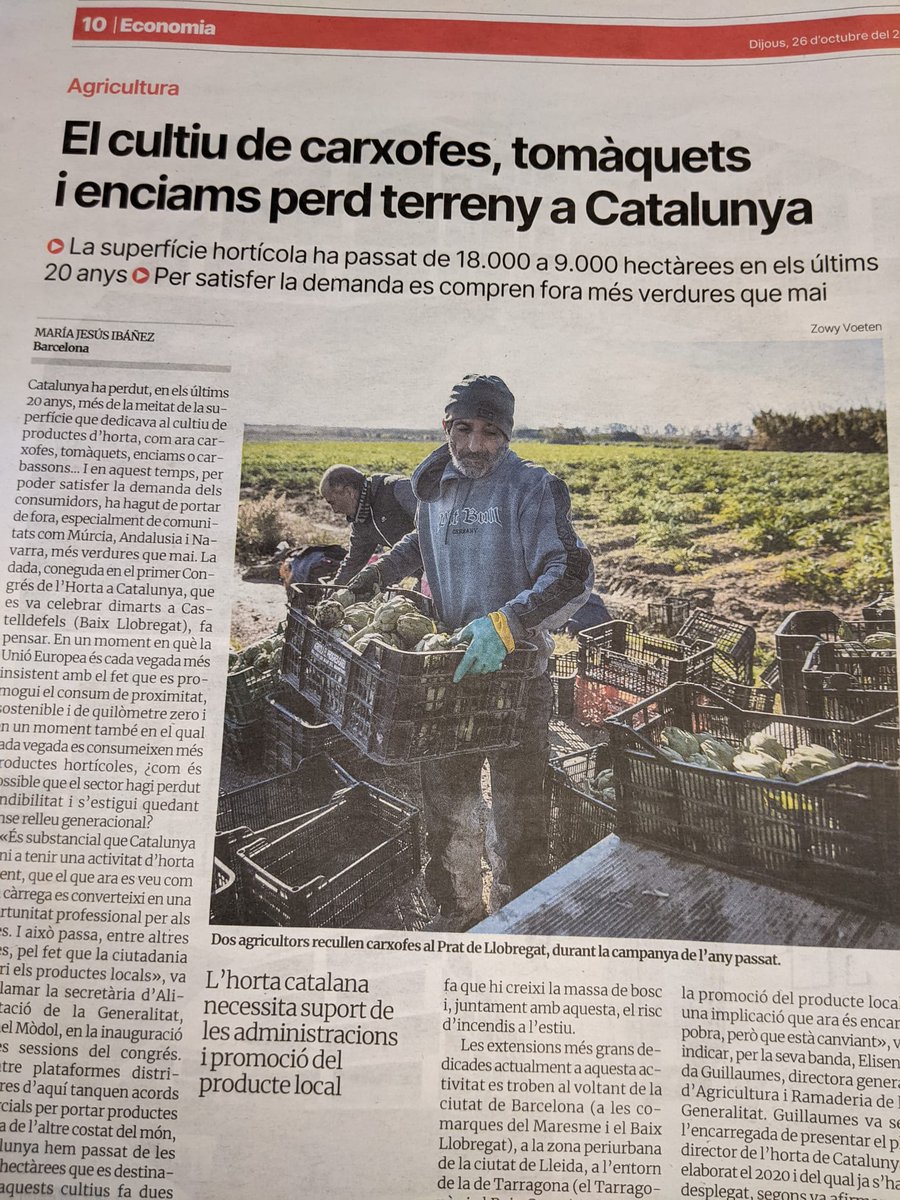La població va augmentant i els pagesos anem desapareixent. Potser és per això que ja no tenim ni Departament d'Agricultura. 
Un contrasentit més de la societat actual. Potser dels més importants, perquè ens hi va el menjar.
O ens hi posem o prendrem (més) mal.