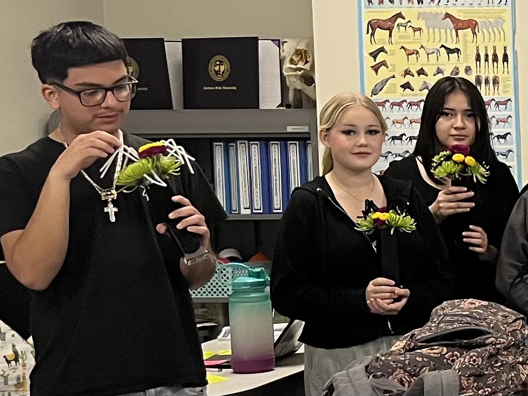 <a href="/HeightsFWISD/">Arlington Heights High School</a> Floral Design 🌷🌼🌹🌸🪻🌻 students made a “spider” 🕷️arrangement for this month’s Flower-of-the-Month subscribers. 💐

@MrsWeeksAHHS <a href="/EducatorStrom/">Mel Strom</a> <a href="/anahiev/">Anahí Esparza Vallín</a> <a href="/MASerrano20/">Miguel Angel Serrano, Ph.D.</a> <a href="/Melissa1Kelly/">Melissa Kelly</a> <a href="/amramsey13/">Angelica Ramsey, Ed.D.</a> 
#FWISD 
#onefortworth