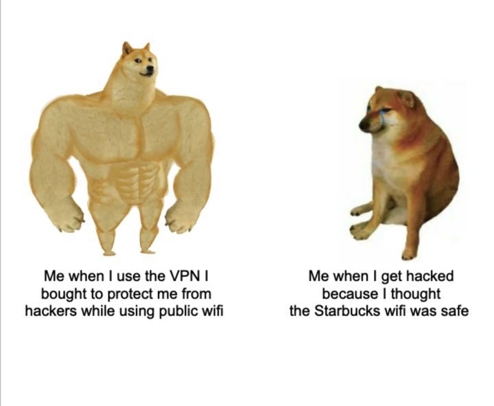 Consortium Networks tweet media