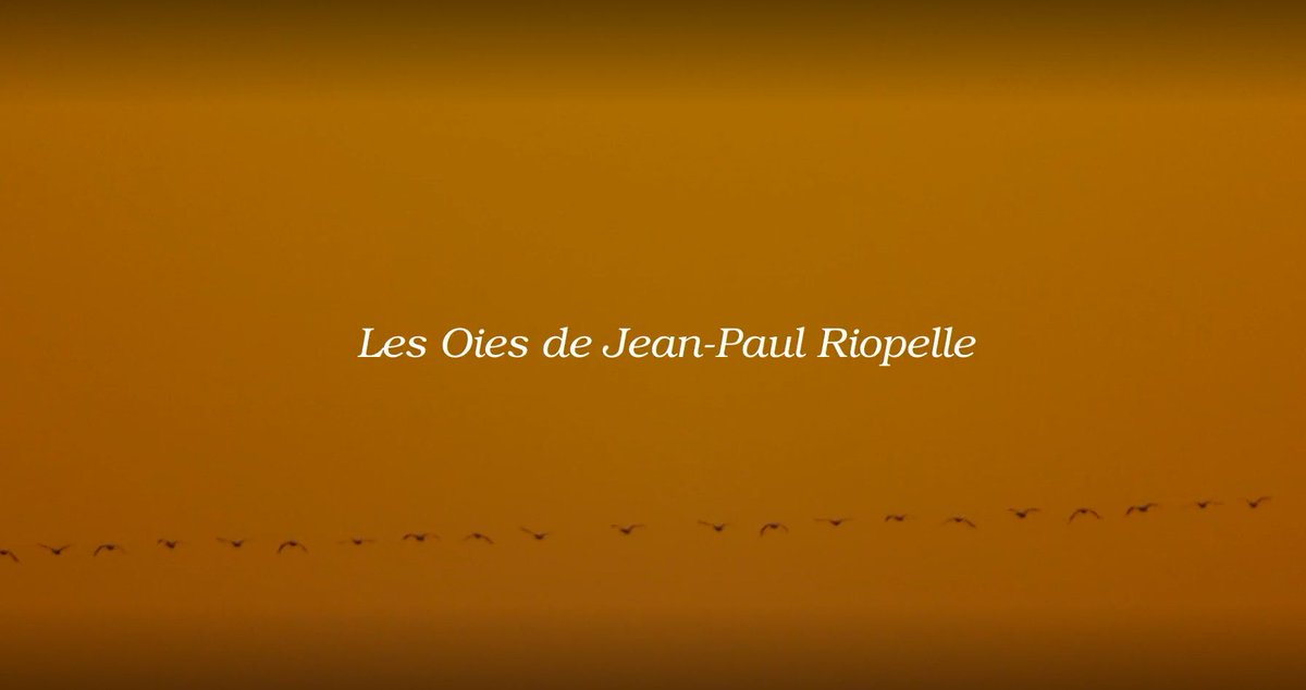 🎞️On December 10th, in preparation for the show, NAC French Theatre will present ''Les oies de Jean Paul Riopelle'', a documentary directed by Jean-Luc Dupuis, in the NGC auditorium.