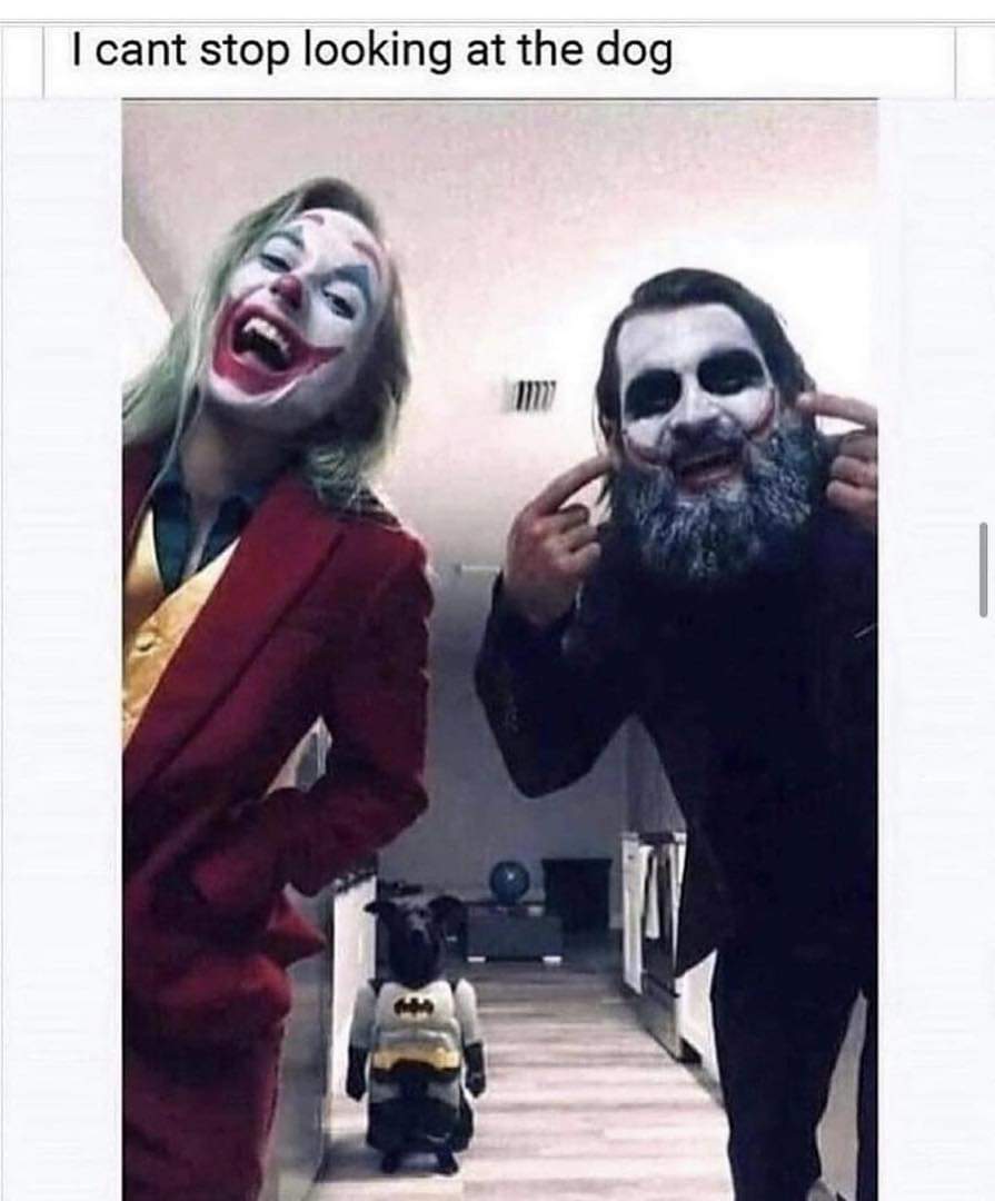 Captain_Tate's tweet photo. That dog tho 😂 https://t.co/qy0BTQKLir