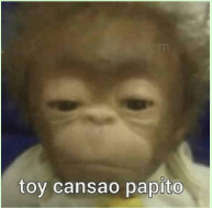 Francesco Tuzzio tweet media