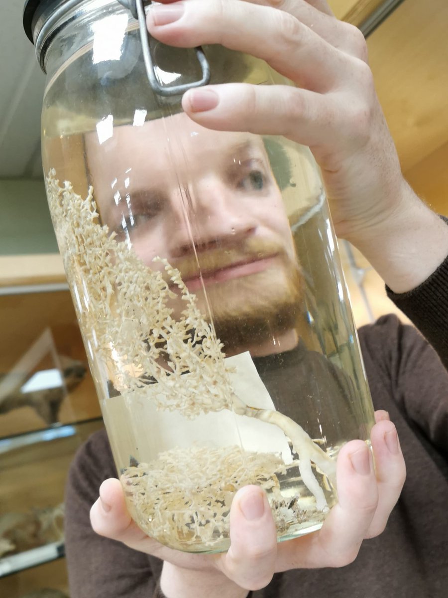 Declan Morrissey tweet media