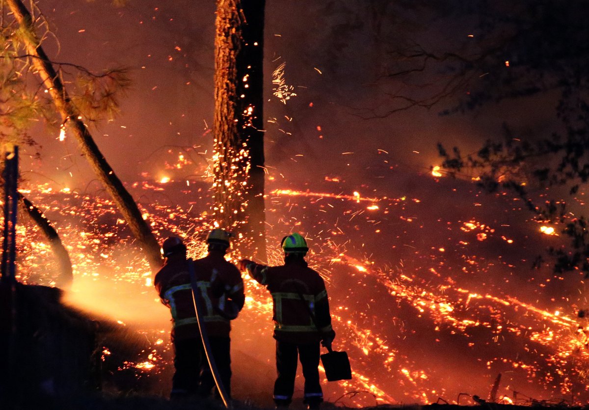 AllanMargolin's tweet photo. #ClimateCalamity: Ancient trees that survived French wildfires are now being felled due to bug infestation

https://t.co/xKSA9cviWD

@Pastpreservers @arikring @SaleemulHuq @americanmclass @BadBradRSR @TucsonBlonde @bobchester @MisleaderC @ChiuHeather @FoodAndWineDiva @Ellasperson https://t.co/CImBVEfdHj