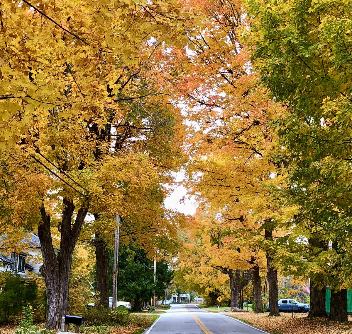 Solargroupies's tweet photo. Leafstravaganza from the #foliage capital #vermont #ilm https://t.co/ScsyDGufnL