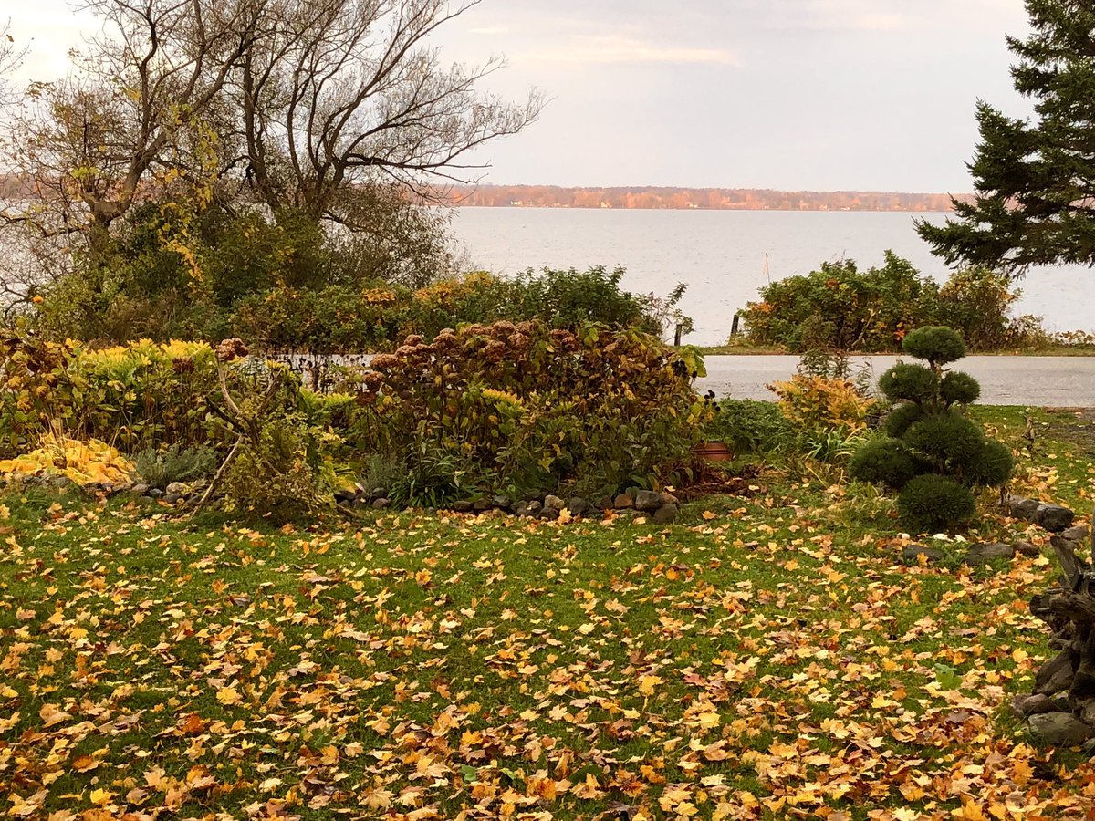 Solargroupies's tweet photo. Leafstravaganza from the #foliage capital #vermont #ilm https://t.co/ScsyDGufnL