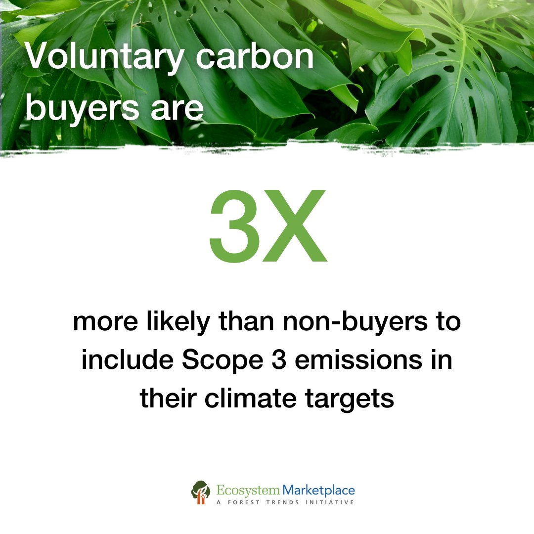 Ecosystem Marketplace (@ecomarketplace) on Twitter photo Our latest findings show that voluntary carbon buyers are 3X more likely to include Scope 3 emissions in their climate targets. More report findings: bit.ly/Report-CB <a href="/ConservationOrg/">Conservation Intl</a> <a href="/WMBtweets/">We Mean Business Coalition (inactive)</a> <a href="/wearevcmi/">VCMI</a> <a href="/SkollFoundation/">Skoll Foundation</a> <a href="/StephenDonofrio/">Stephen Donofrio</a> Our latest findings show that voluntary carbon buyers are 3X more likely to include Scope 3 emissions in their climate targets. More report findings: bit.ly/Report-CB <a href="/ConservationOrg/">Conservation Intl</a> <a href="/WMBtweets/">We Mean Business Coalition (inactive)</a> <a href="/wearevcmi/">VCMI</a> <a href="/SkollFoundation/">Skoll Foundation</a> <a href="/StephenDonofrio/">Stephen Donofrio</a>