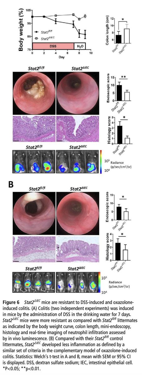 Aiming at resolution of #IBD: 👇👇🏼👇🏿

IL-20 controls resolution of experimental colitis by regulating epithelial IFN/STAT2 signalling. <a href="/Gut_BMJ/">Gut Journal</a> 
pubmed.ncbi.nlm.nih.gov/37884352/

<a href="/Y_ECCO_IBD/">Y-ECCO</a>