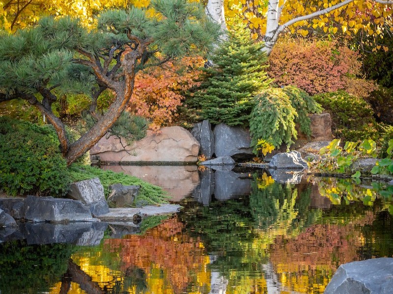 Denver Botanic Gardens tweet media