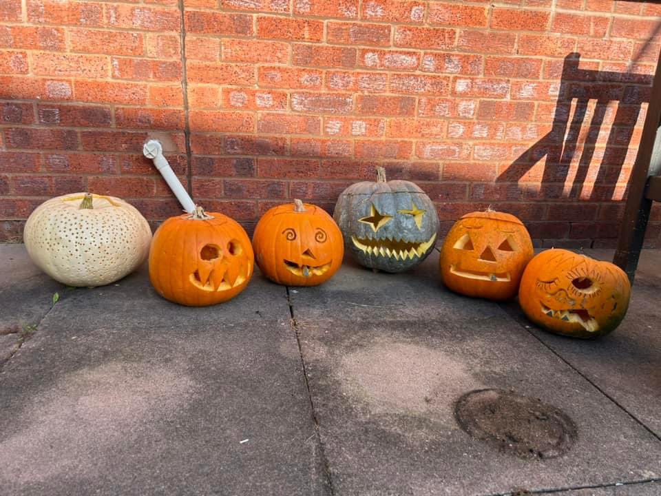 Thank you to Pitt Farm for donating these pumpkins to us at Somerset Neuro Rehabilitation Centre. We love finding fun ways to engage patients in therapy and this pumpkin carving activity was enjoyed by all. The results are Fab! 🎃