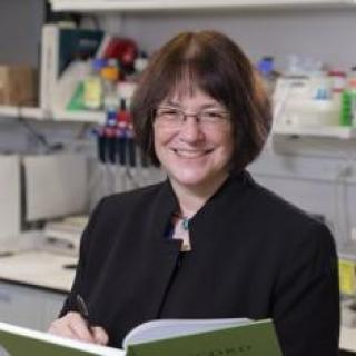 Mammalian Genome Soc tweet media